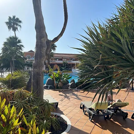 דירה Wonderful In Tenerife Royal Gardens Resort! פלאייה דה לאס אמריקס